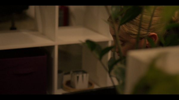 vlcsnap-00071.png