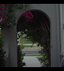 vlcsnap-00237.png