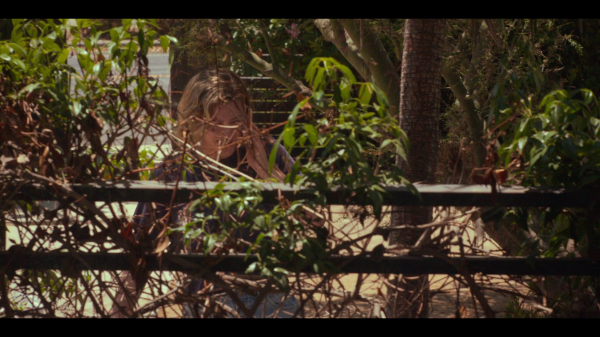 vlcsnap-00658.png