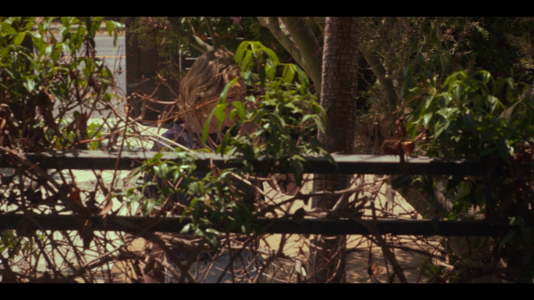 vlcsnap-00659.png
