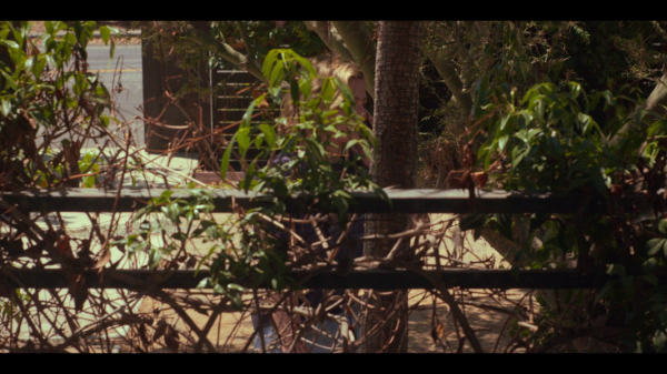 vlcsnap-00660.png