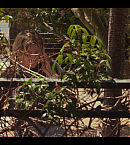 vlcsnap-00658.png