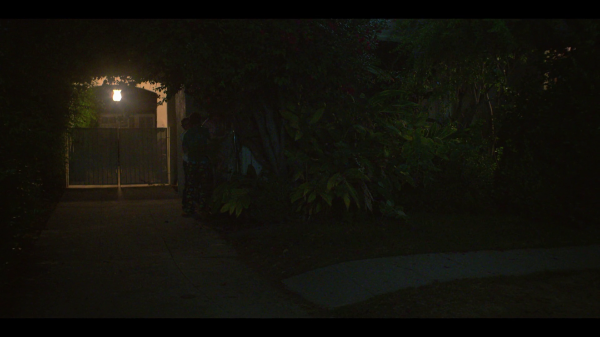 vlcsnap-00486.png