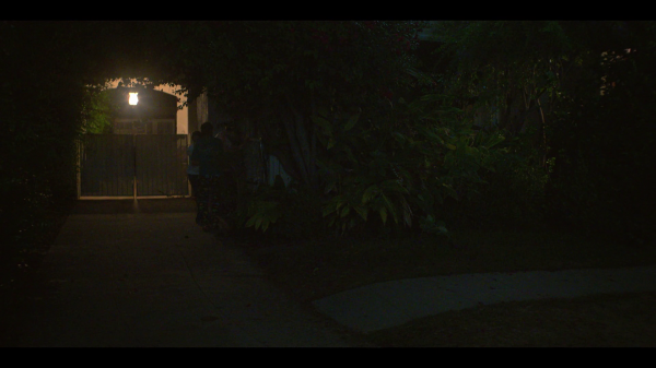 vlcsnap-00487.png