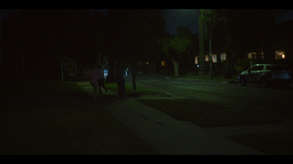 vlcsnap-00492.png