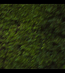 vlcsnap-00185.png